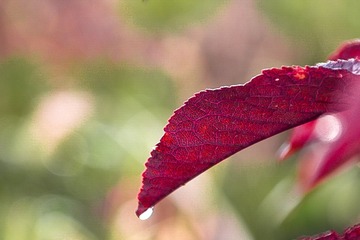 71589