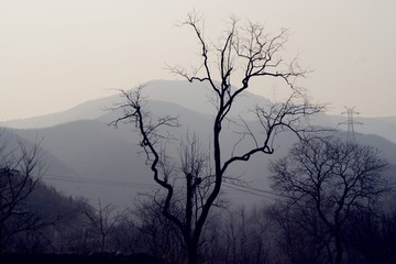 水墨西山
