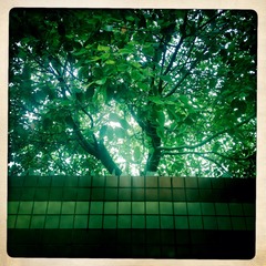 20140520-3
