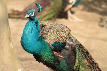 IMG_2890IMG2839