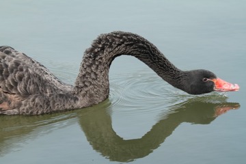 IMG_3065IMG2839