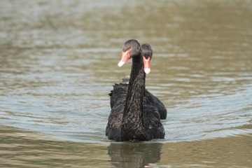 IMG_3190IMG2839