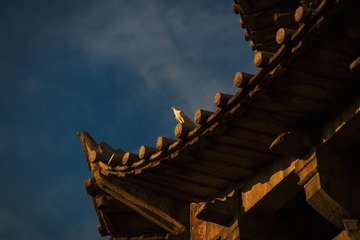 20140717_泉州228N
