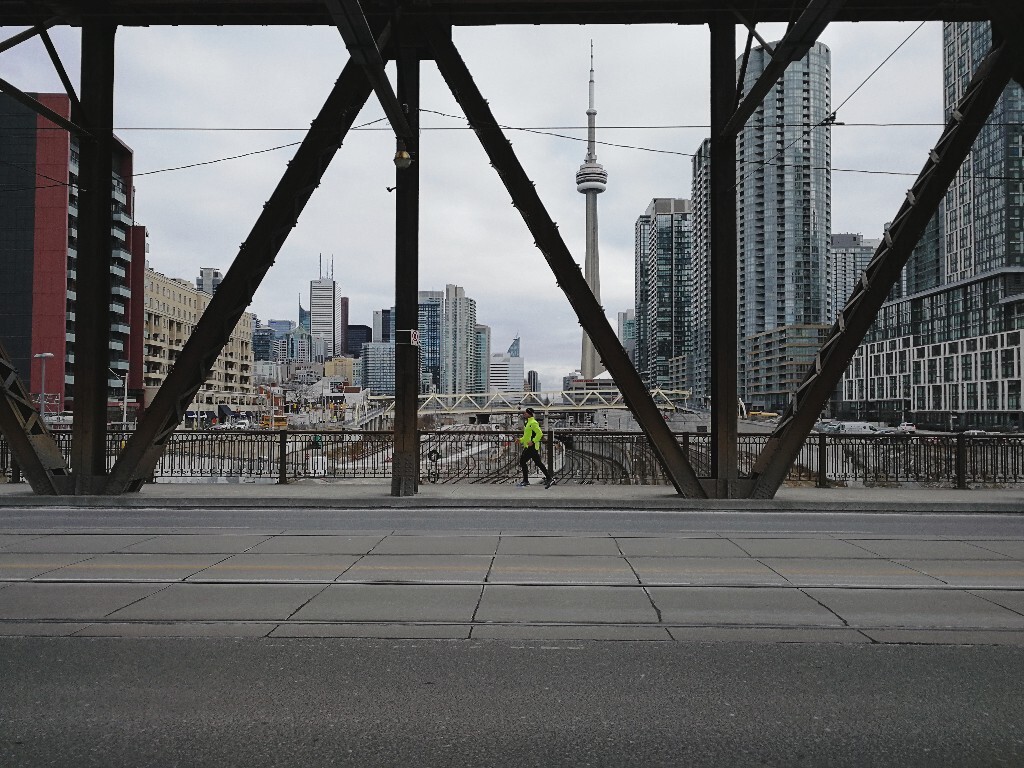 清晨慢跑的人和远处的CN Tower,恍惚有种上海外白渡桥的感觉