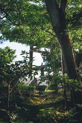 生活就像