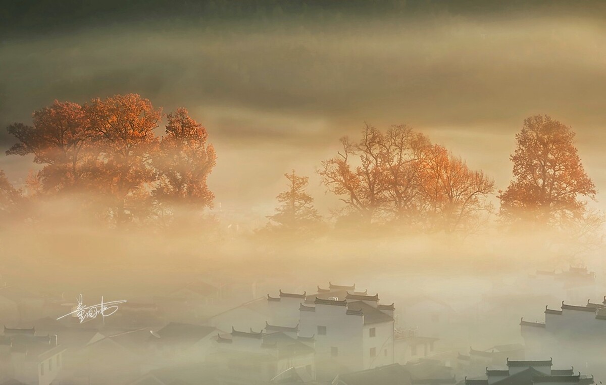当深秋第一缕温暖的阳光照在800年的老红枫树上,石城这个婺源的小山村便从浓雾中苏醒过来,迎接崭新的一天。村民陆续忙碌起来,炊烟升起来了,整个村庄如梦似幻