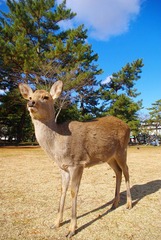 IMGP4165_