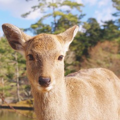 IMGP4197_