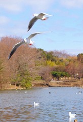 IMGP4591_