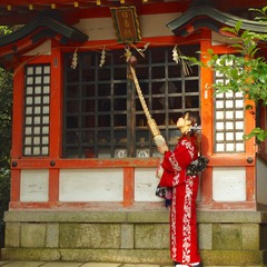 IMGP3344_