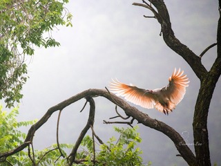 A07Q8967