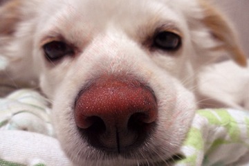 SAM_2398