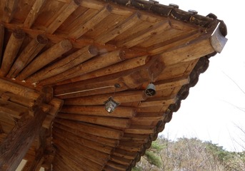 P4104521