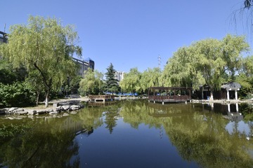 _DSC0754