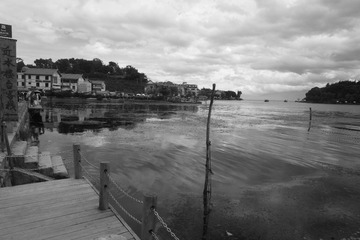 SAM_0725