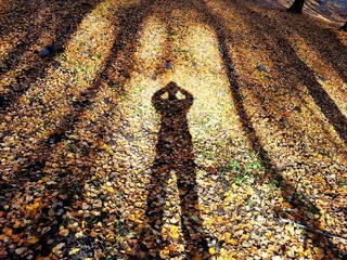 20140925_115535_