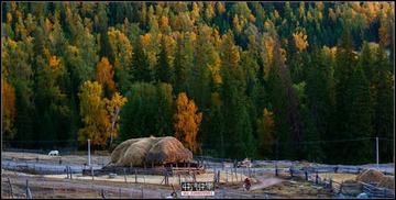 IMG_5778_