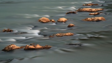 IMG_5156-