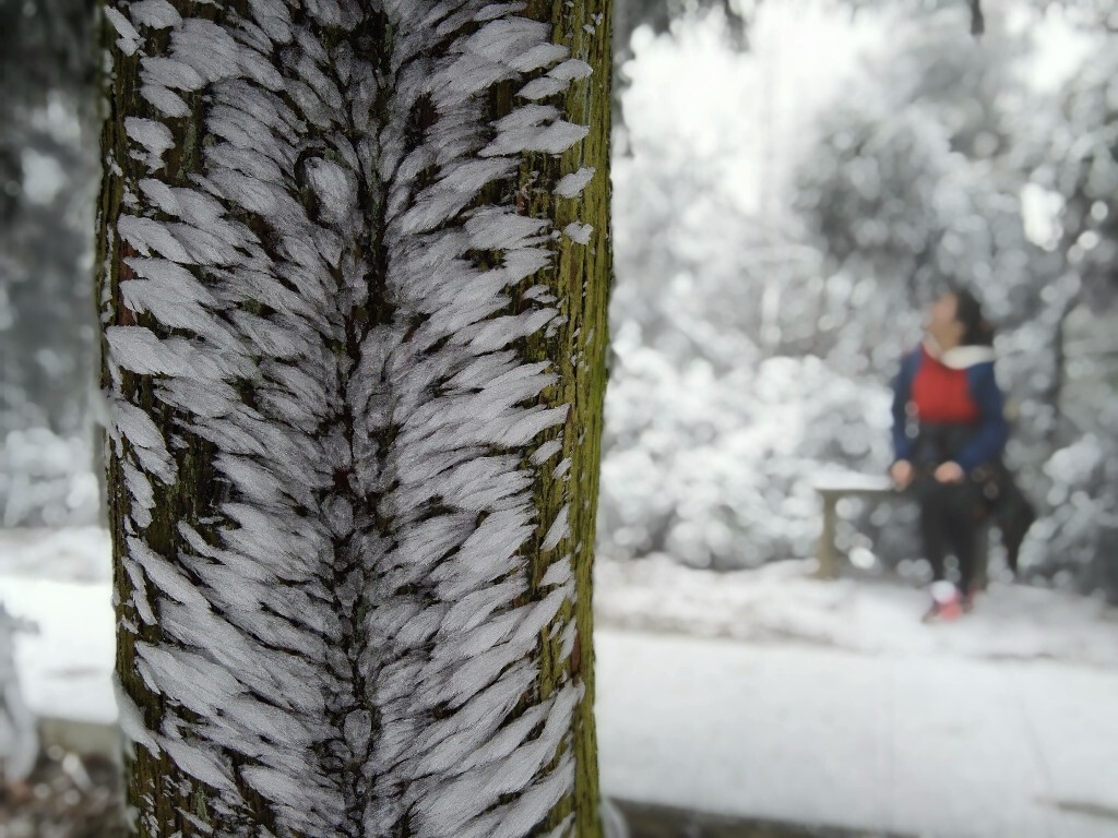 一个人赏雪冷冰冰，两个人赏雪暖洋洋