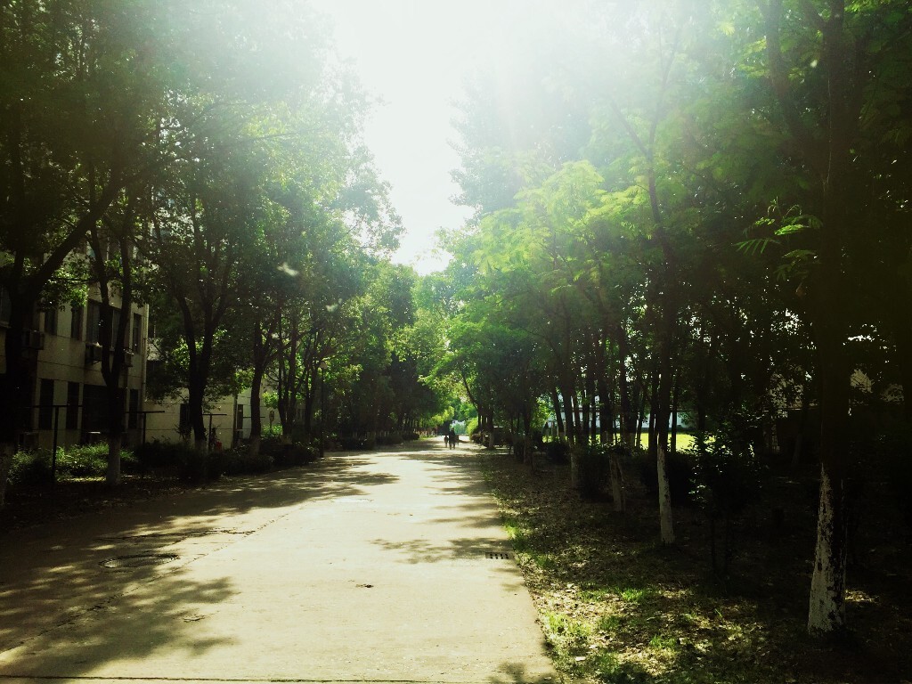 青春散场<br />
那刻<br />
我们追忆似水年华