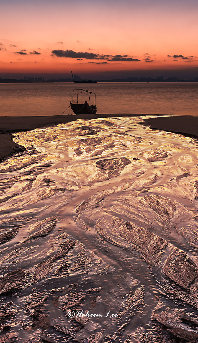 入海 发布于  17年1月31日        sigma 24