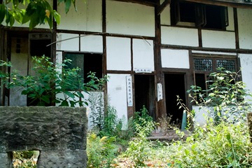 SDIM1407