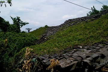 SDIM1192