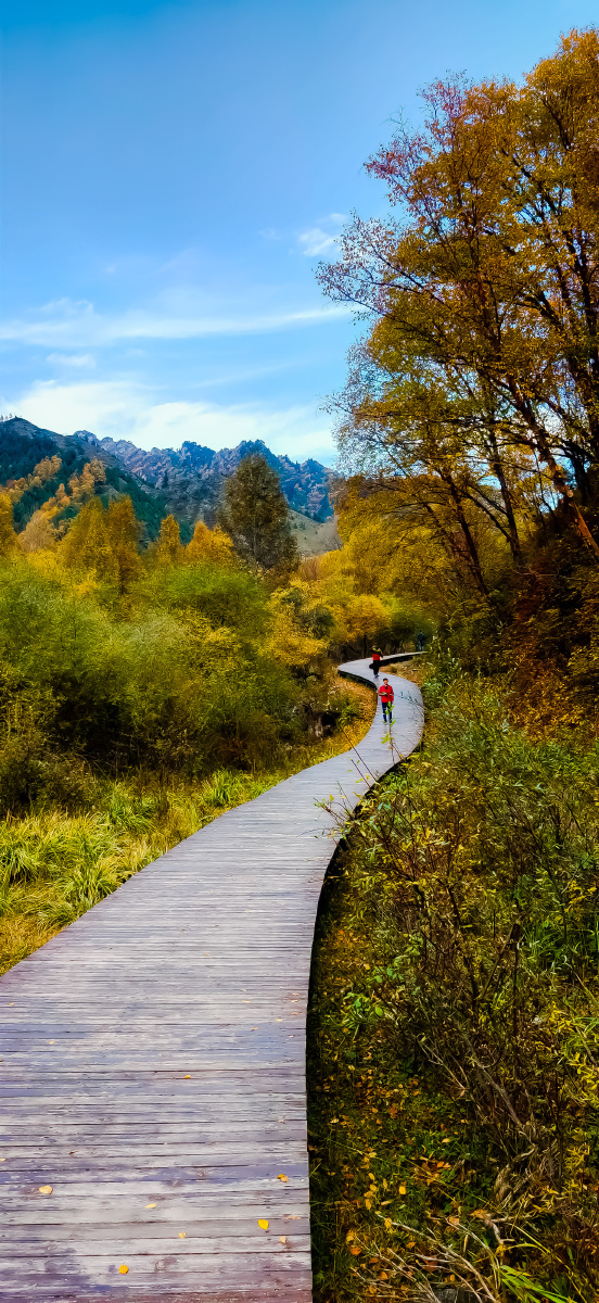 手机壁纸,北山秋景.