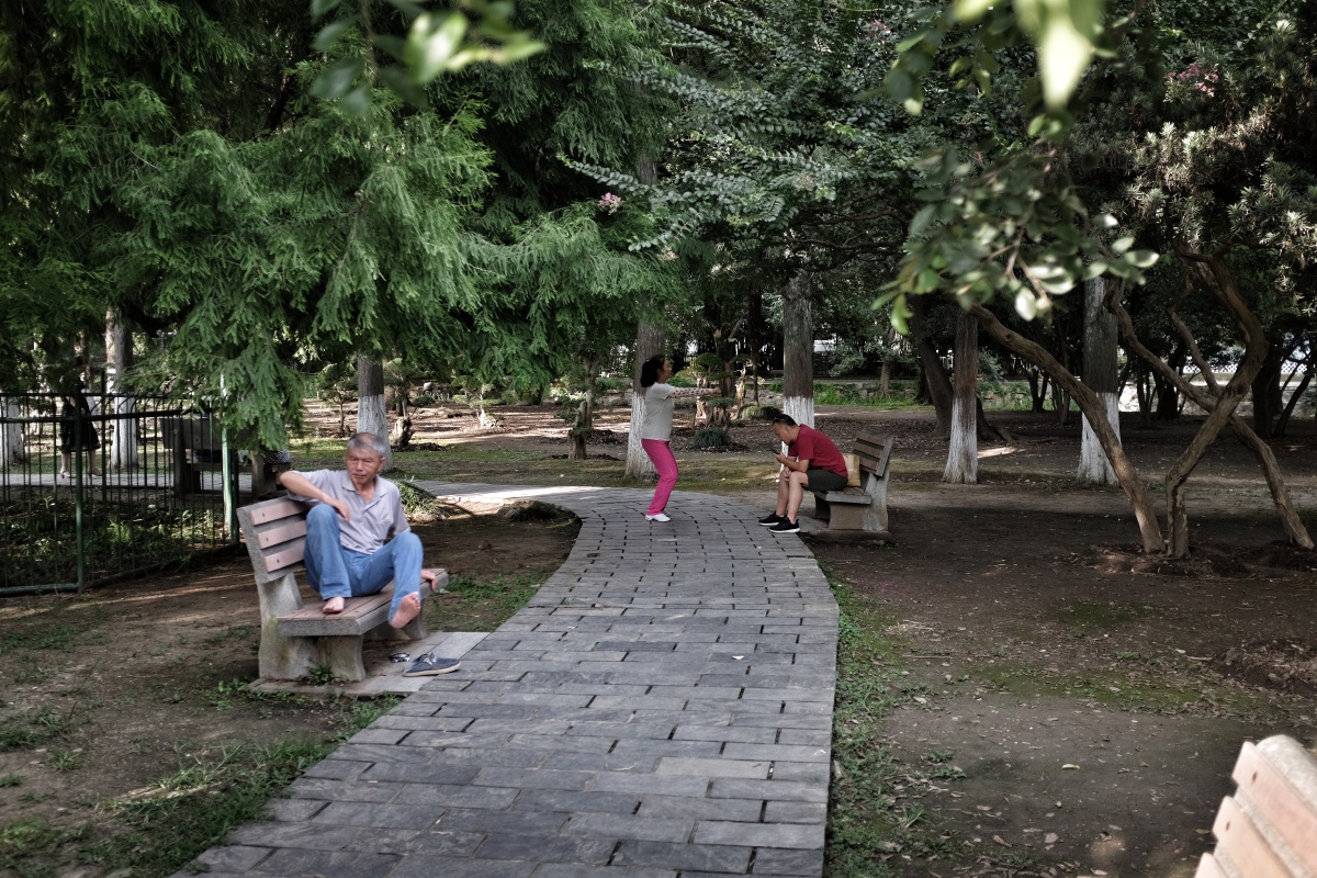 树荫乘凉 - 萌山己几 - 图虫