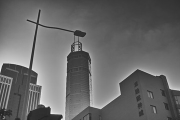 DP2M0273
