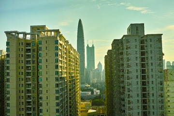 DP2M0339