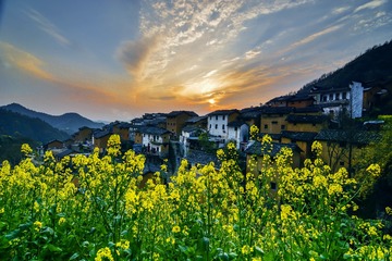 _DSC0424