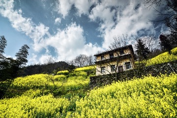 _DSC0360