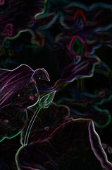 160717036_1