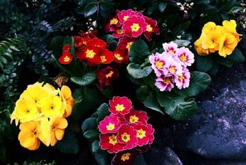 Love&amp;Peace...