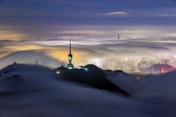 夜上梧桐顶，人间看月华