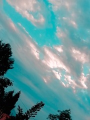 435805