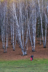 DSC08264_LR