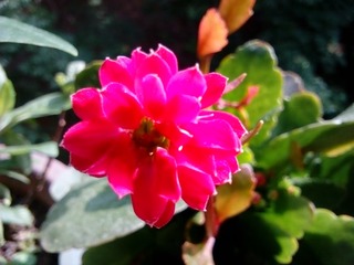 IMG_20160525_085242