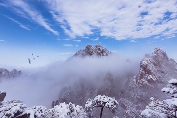 高处不胜寒
