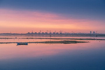 养马岛清晨（图库）