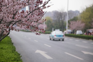 DSC02167（图库）