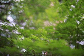 _H3A0060