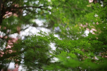 _H3A0065