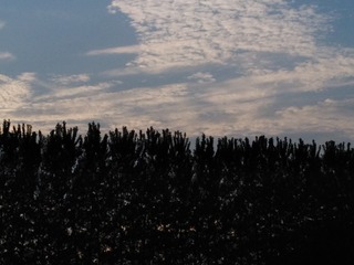 710382
