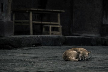 2H3A9041-编辑