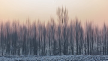 IMG_6773-Edit