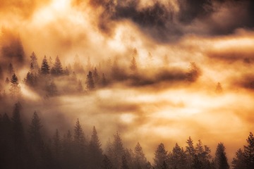 IMG_0086-Edit-2
