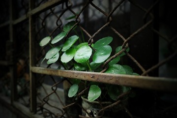 DP1M0260_