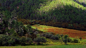 IMG_20160827_233756